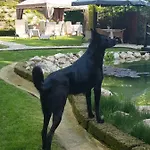 Penzion Platani Resort Caprino Veronese