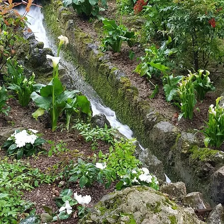 Affittacamere Platani Resort Caprino Veronese