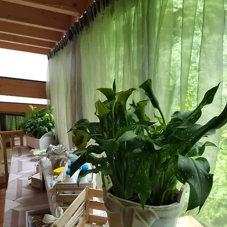 Platani Resort Gæstehus