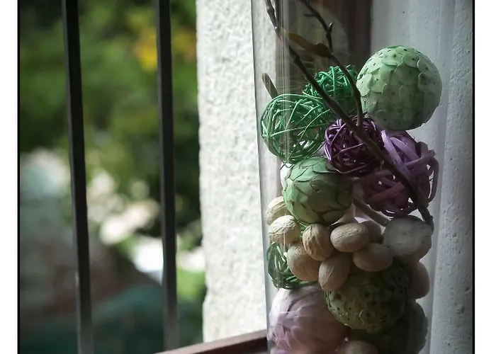 Vendégház Platani Resort 2*