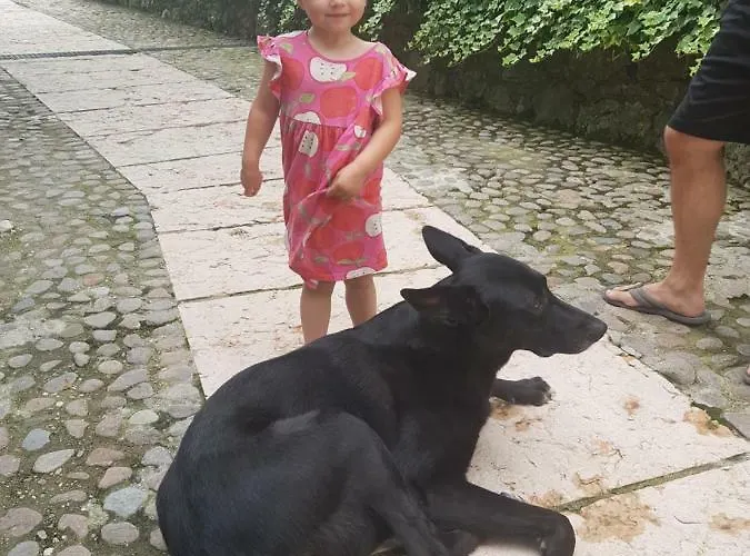 Platani Resort Caprino Veronese