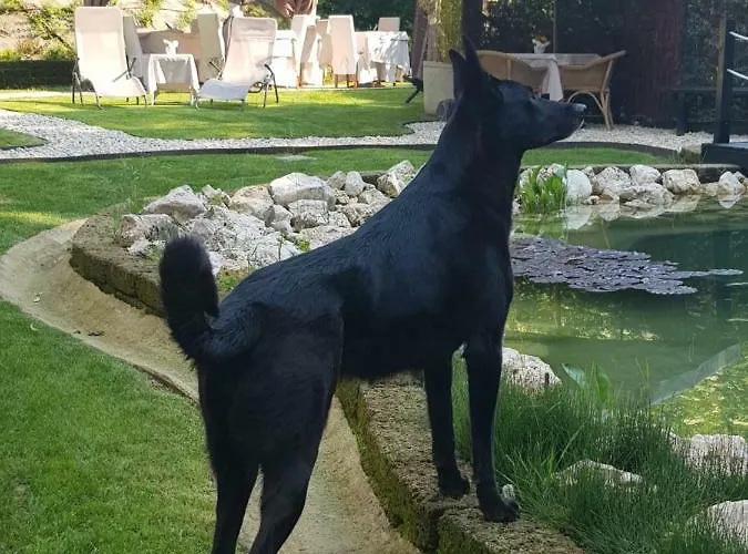 Vendégház Platani Resort Caprino Veronese