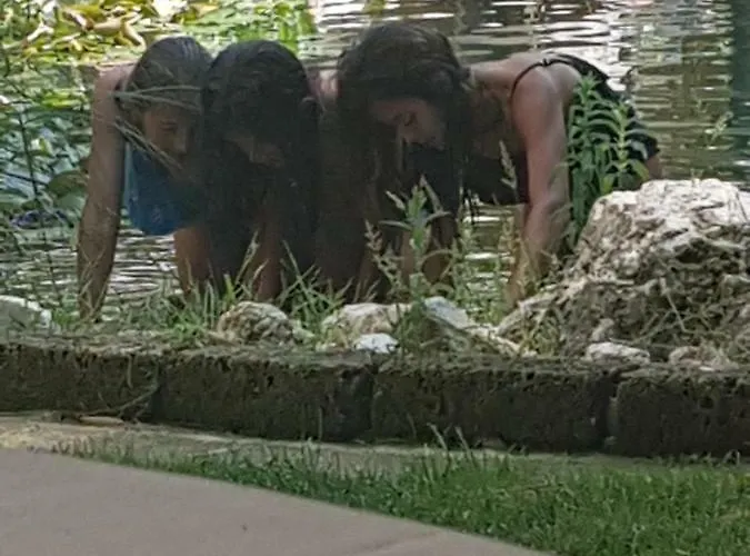 Vendégház Platani Resort Caprino Veronese