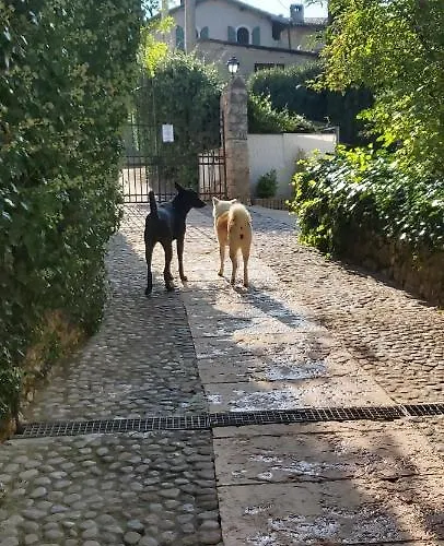 Vendégház Platani Resort Caprino Veronese