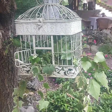 Platani Resort Guest house