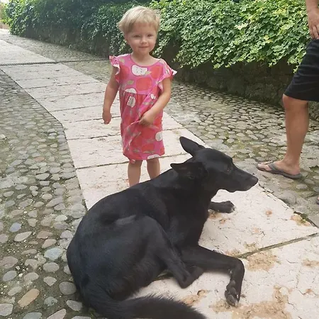 Platani Resort Caprino Veronese