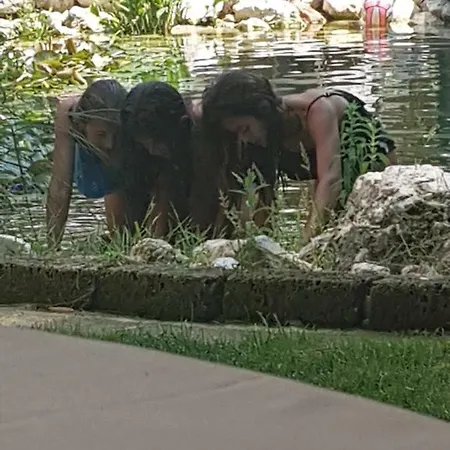 בית הארחה Platani Resort קאפרינו ורונזה