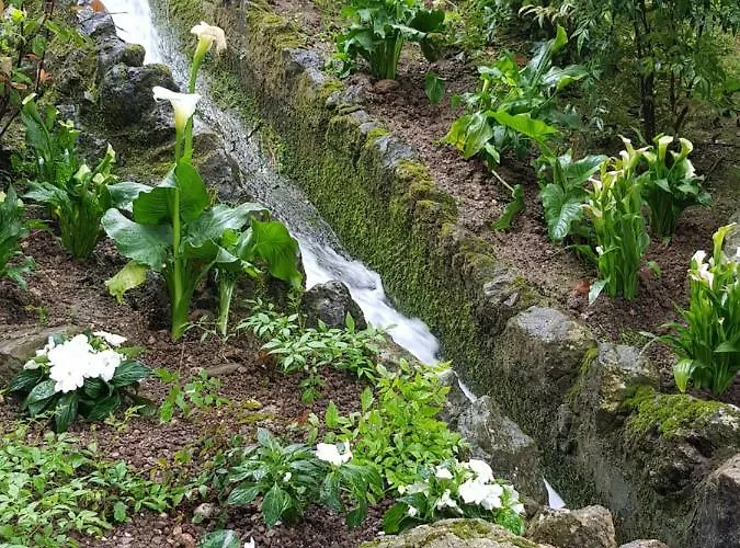 Affittacamere Platani Resort Caprino Veronese