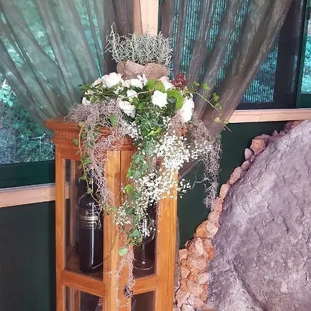 Platani Resort 2* 카프리노 베로네세