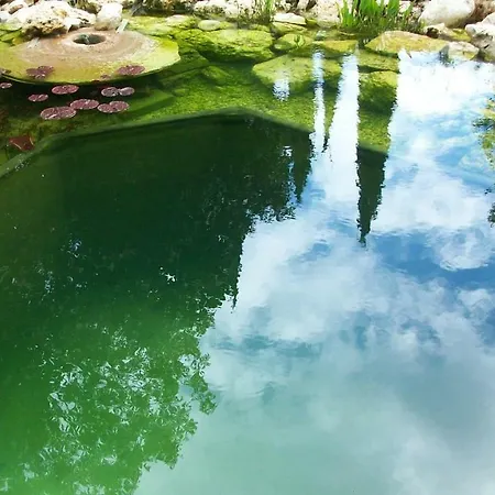 게스트하우스 Platani Resort 2*