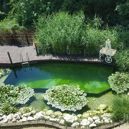 Platani Resort 2* 카프리노 베로네세