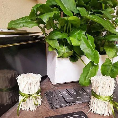 게스트하우스 Platani Resort 카프리노 베로네세