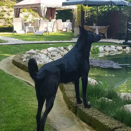 게스트하우스 Platani Resort 카프리노 베로네세