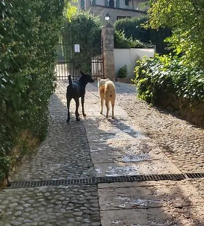 게스트하우스 Platani Resort 카프리노 베로네세